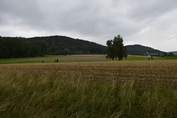 _N752779