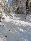 IMG_20231203_135357