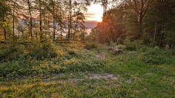 PXL_20240512_040743941